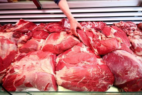 thumbs_b_c_3fd460b35764d2cf8ff898a94d53bdca