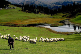 thumbs_b_c_5cb7e0080ecd6823b2994517b7a75197