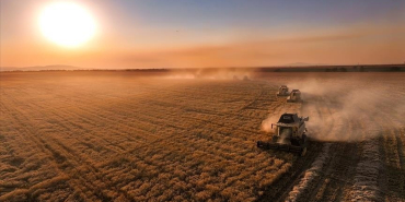 thumbs_b_c_6a0fb7ee79df274b3a5d8659234ffdfb