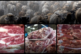 thumbs_b_c_7ba19d4a102b76b176878f7bf243598f