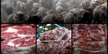 thumbs_b_c_7ba19d4a102b76b176878f7bf243598f