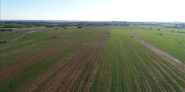 thumbs_b_c_8bab8fcc1eb656858da194da1a6535d8 (1)