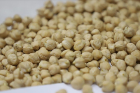 thumbs_b_c_b85dae122f8bfd6e66ce020941bffefb