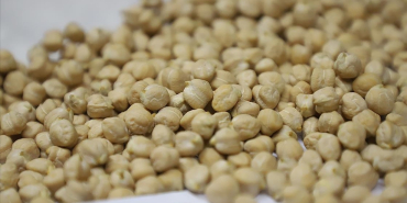 thumbs_b_c_b85dae122f8bfd6e66ce020941bffefb