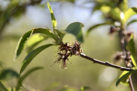 thumbs_b_c_b9d5274103610966158f3e1b3730e882