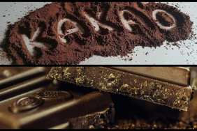 thumbs_b_c_c9893769edb87e07c13b935012fe4e7a