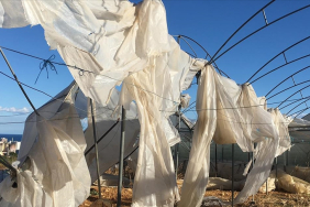 thumbs_b_c_e1207b657b7c7e98bcd0daecc47d770b