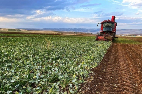 thumbs_b_c_0b2ed13f13394b39de4b2bfab648398b