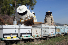 thumbs_b_c_0ddf07e71285ef34d754bea34cbb3581