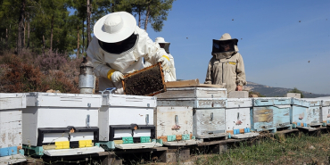 thumbs_b_c_0ddf07e71285ef34d754bea34cbb3581