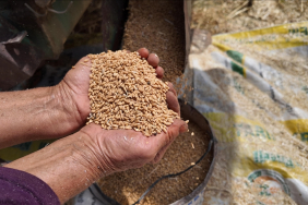 thumbs_b_c_0deb2e7ce11bca9211909f654d72217b