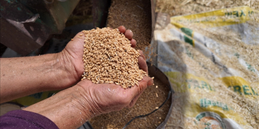 thumbs_b_c_0deb2e7ce11bca9211909f654d72217b