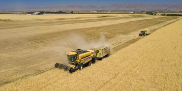 thumbs_b_c_159abb1c0fac1c63e894682904b77aee