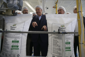 thumbs_b_c_24a01ca3eff8e2e6a569d7fb3d96c63c