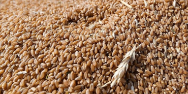 thumbs_b_c_29116f910472a985c0e73a9e84bd5f8f