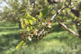 thumbs_b_c_2b8b1249d50dbe0d4abb3be9bff12fcb