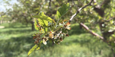 thumbs_b_c_2b8b1249d50dbe0d4abb3be9bff12fcb