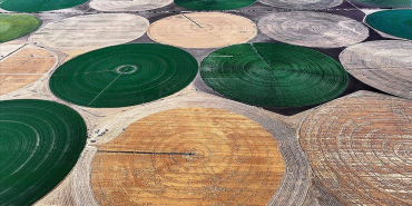 thumbs_b_c_34f5dbbbef48a2d8ada11c1e7a1cf1a1