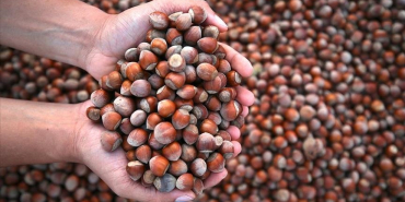 thumbs_b_c_3a0796eb7b10b261f3bf25a933f6f914