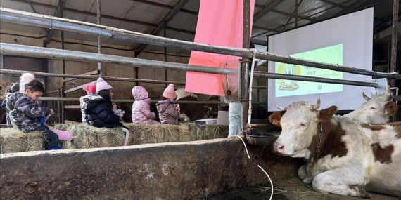 Ardahan’da Anaokulu Öğrencilerine Hayvancılık ve Tarım Sahada Öğretiliyor