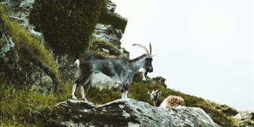 thumbs_b_c_58c23861815c47cab0726e1beb3cafb9