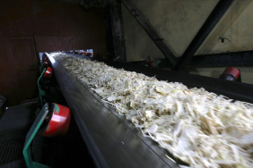 thumbs_b_c_6318f62bc80cd57b12c9a73f1fa74a99