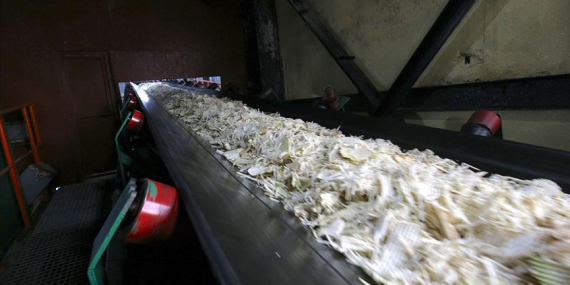 Muş ve Van’daki Fabrikalarda 76 Bin 10 Ton Şeker Üretimi Hedefleniyor