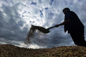 thumbs_b_c_65e21e76e6f8fd243ec2874237d724ea