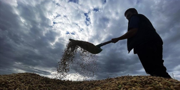 thumbs_b_c_65e21e76e6f8fd243ec2874237d724ea