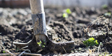 thumbs_b_c_77c87d9c1152c379595a32ecbf683b6f