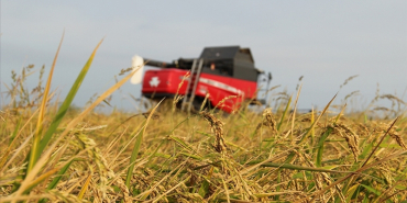 thumbs_b_c_794039270745e30831f7d95652b5eacc