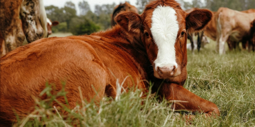 thumbs_b_c_a4540ec5d093d9c1b0a9b7851ab9fe42