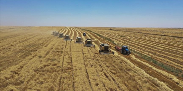 thumbs_b_c_b28a4a3c22256de2933297bcaf600636