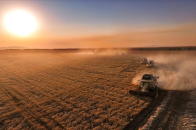 thumbs_b_c_b6c998ae029a6d9f16b6e6431bf30baa