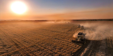 thumbs_b_c_b6c998ae029a6d9f16b6e6431bf30baa