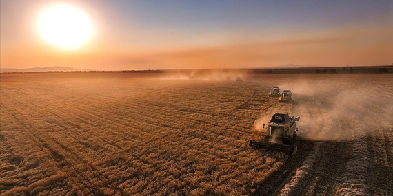 1 Milyar 46 Milyon  754 Bin TL’lik Tarımsal Destekleme ödemesi Bugün Çiftçilerin Hesabına Aktarılacak