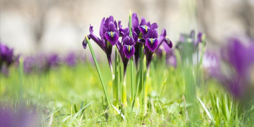 thumbs_b_c_ccb4487cdcde6b12f4ed27109f35bf11 (1)