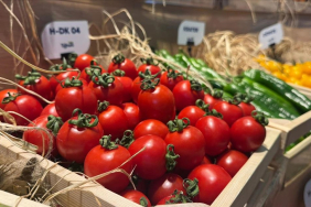 thumbs_b_c_d19df3c78ccd052c86f87ef798387fad