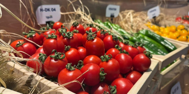 thumbs_b_c_d19df3c78ccd052c86f87ef798387fad