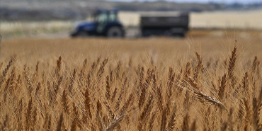 thumbs_b_c_d310bb845c82bf9ddb848848528ac9cd