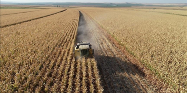 thumbs_b_c_dd78cbbc412a529551c2dfff8ee60d47