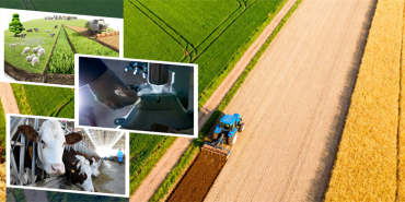 Destekleme Vitrin 16.01.2026