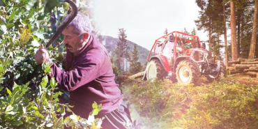 orman-koylusu-2363244_2