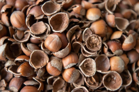 thumbs_b_c_205d39ac6496ec34262a7389990723a5