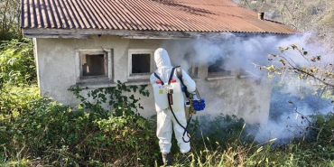 thumbs_b_c_441a654693088f3c1b1cd250f4d8305d