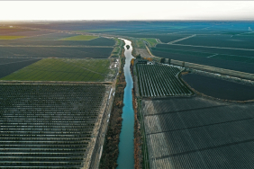 thumbs_b_c_4978ff98b164f2aba4f270fe51f5531e