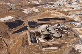 thumbs_b_c_76ceb6c5ec2b60075cebee8b42cb1c6c