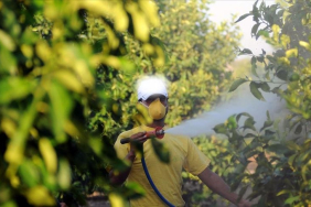 thumbs_b_c_9b120fd1385a4b21599ccff6d4d27bee