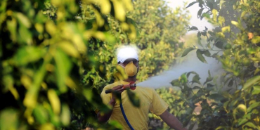 thumbs_b_c_9b120fd1385a4b21599ccff6d4d27bee