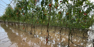 thumbs_b_c_ca0277e965aae66b3f6c65552e2b231b